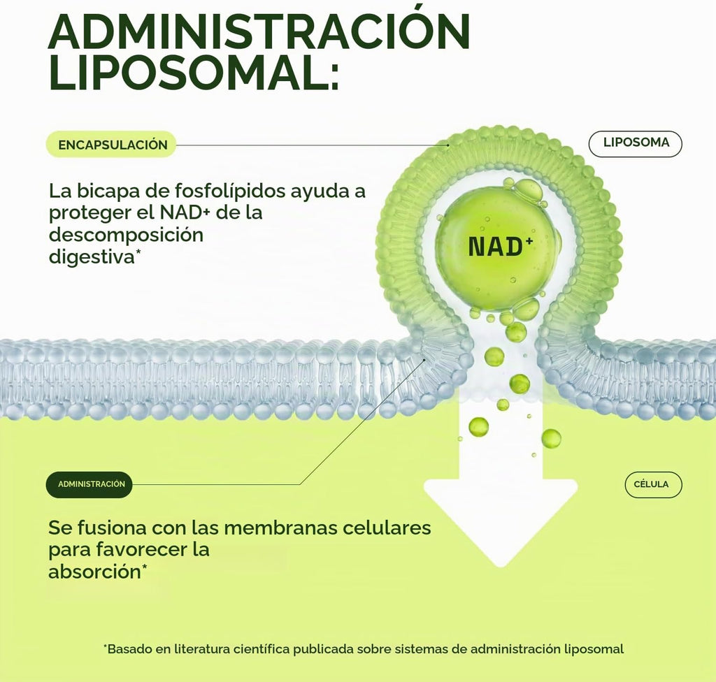 Cata-Kor Suplemento liposomal NAD + resveratrol