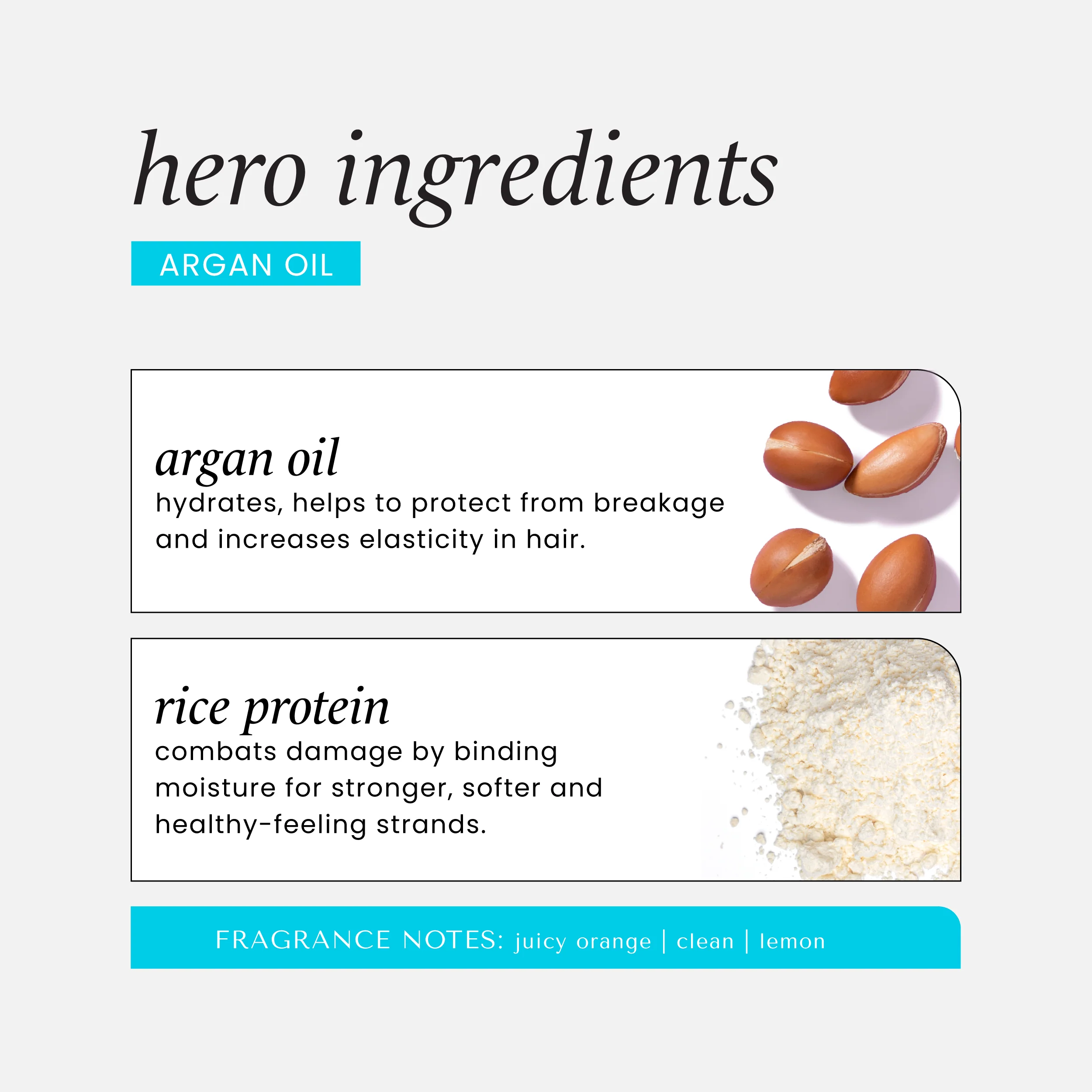 Hask Acondicionador Intensivo Reparador Aceite De Argán